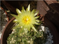 77115eb6-Picture 015.jpg